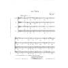 Notenbild für C 37793 - AVE MARIA GRATIA PLENA 0