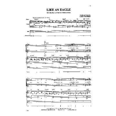 0038081011080 - Like an eagle