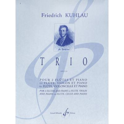 Trio op 119