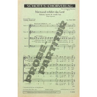 9790001009508 - Nobody knows the trouble Ive seen