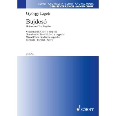 9790001016049 - Bujdoso