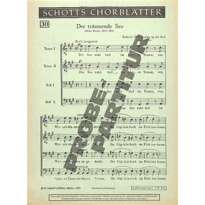 9790001017893 - Der träumende See op 33 1
