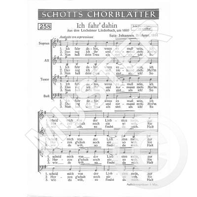 9790001019033 - Ich fahr dahin