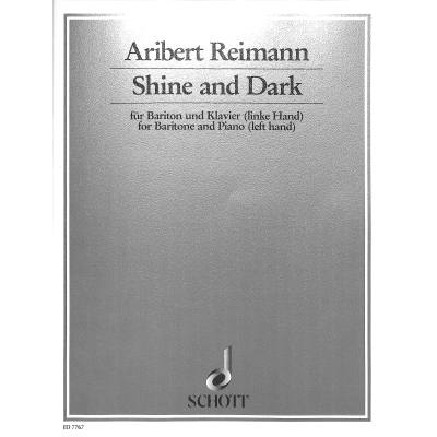 9790001080736 - Shine and dark