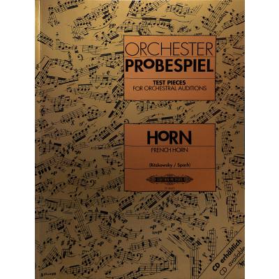 Orchester Probespiel