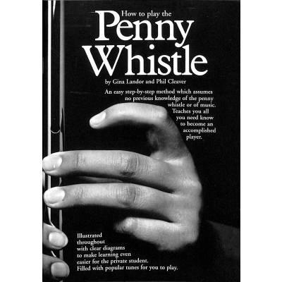 How to play the penny whistle