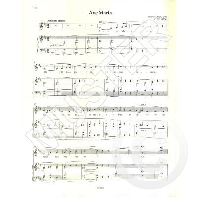 Ave Maria Gratia Plena