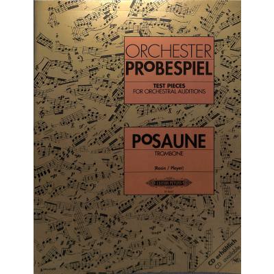 Orchester Probespiel