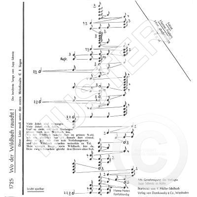 9990051541083 - Wo der Wildbach rauscht