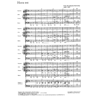 9790007069858 - Hora est