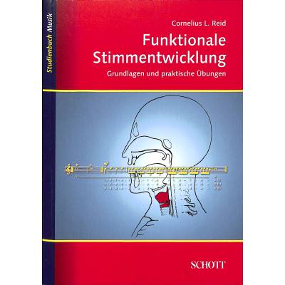 Funktionale Stimmentwicklung