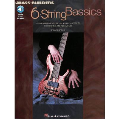 6 string bassics