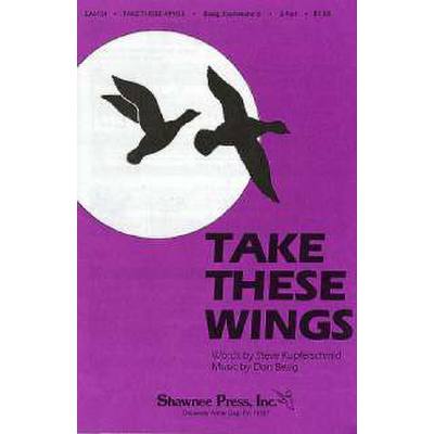 0747510013419 - Take these wings