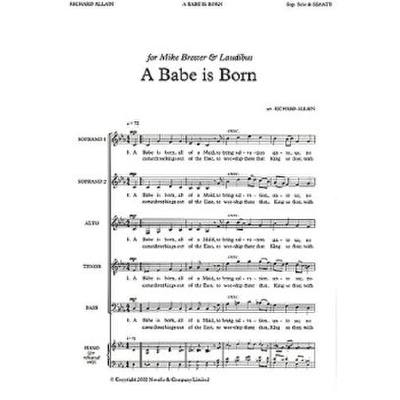 9781846091926 - A babe is born 9781846091926 - A babe is born