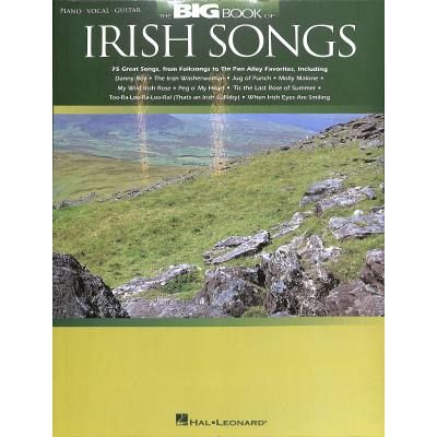 0073999220780 - Big book of irish songs