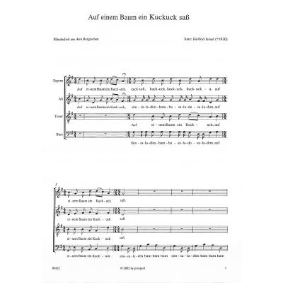 4025531894214 - Auf einem Baum ein Kuckuck sass