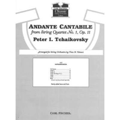 0798408041953 - Andante cantabile op 11 (aus Streichquartett 1)