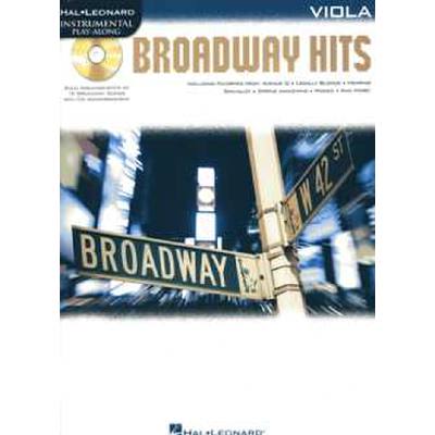 0884088560317 - Broadway hits