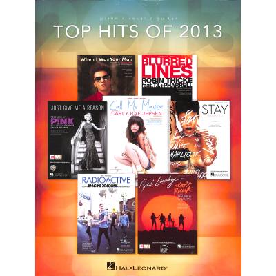 0884088949587 - Top hits of 2013