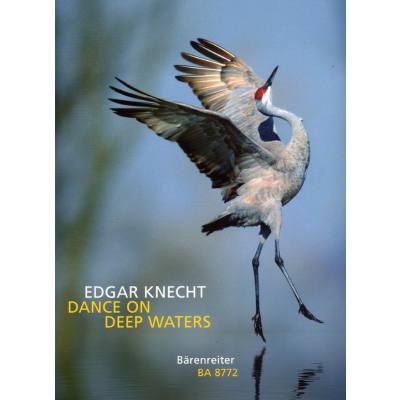 9790006502349 - Dance on deep waters