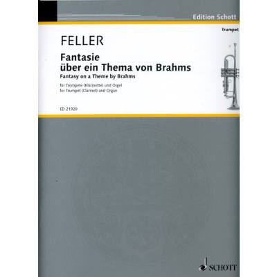 0841886022997 - Fantasie über ein Thema von Brahms