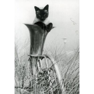 4250326900003 - Postkarte - Tenorhorn mit Katze 4250326900003 - Postkarte - Tenorhorn mit Katze