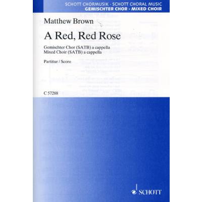 0841886026971 - A red red rose