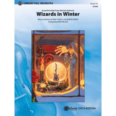 0038081480206 - Wizards in winter
