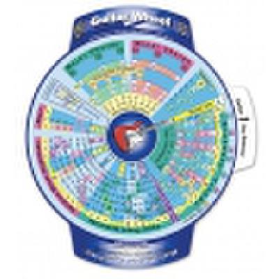 0689076959827 - The guitar wheel