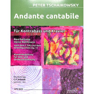 Andante cantabile op 11 (aus Streichquartett 1)