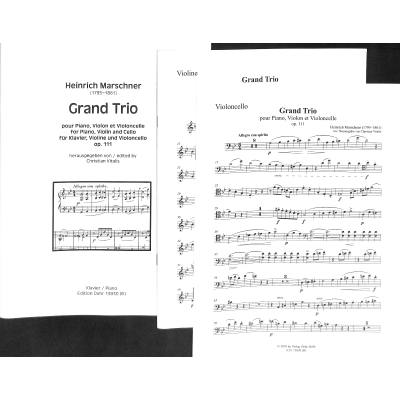 9790202028308 - Grand Trio op 111