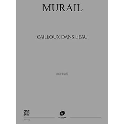 9790230993944 - Cailloux dans leau