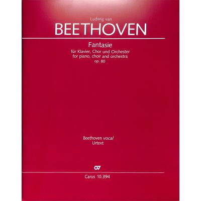 9790007187675 - Fantasie op 80