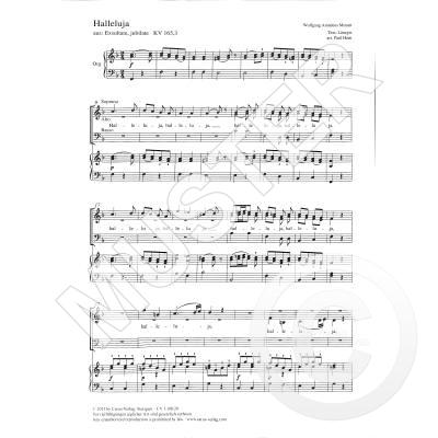 9790007151249 - Halleluja