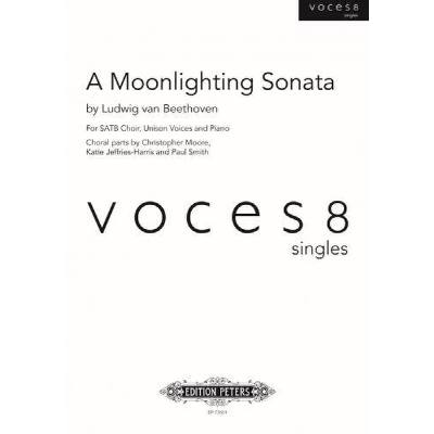 9790577020471 - A moonlighting sonata