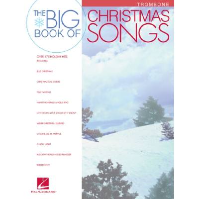 0884088086565 - The big book of christmas songs