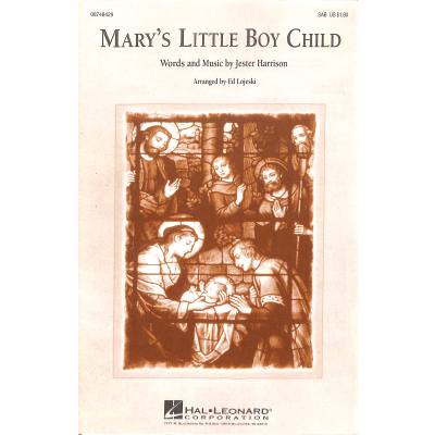 0884088222338 - Marys little boy child