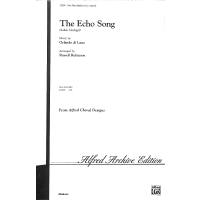 The echo song