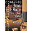 DESDE LA GUITARRA - ARMONIA DEL FLAMENCO 3