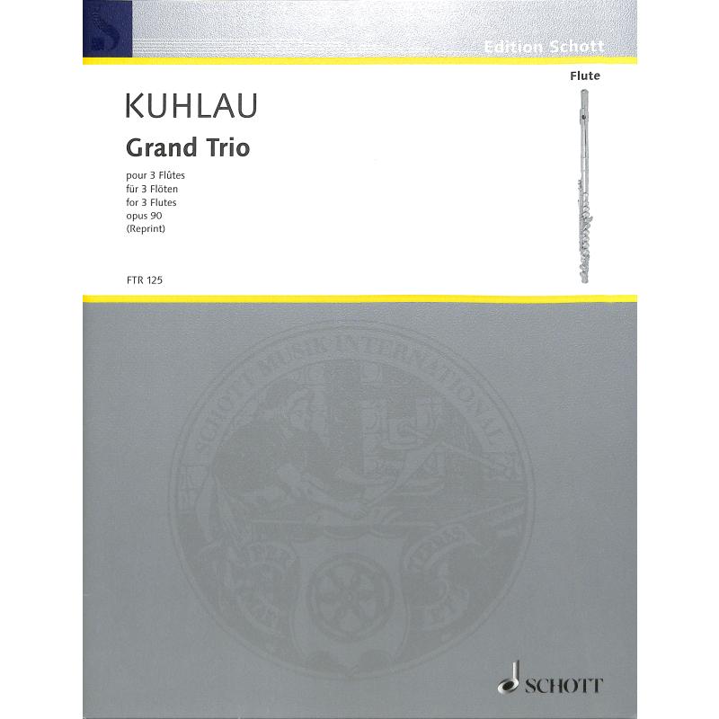 Titelbild für FTR 125 - GRAND TRIO OP 90