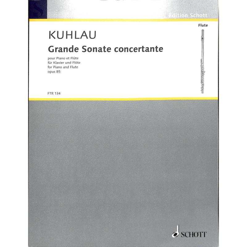 Titelbild für FTR 134 - GRANDE SONATE CONCERTANTE OP 85