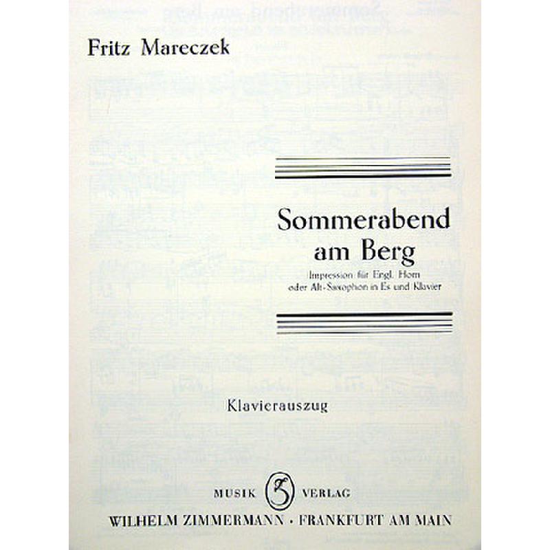Titelbild für ZM 11840 - SOMMERABEND AM BERG