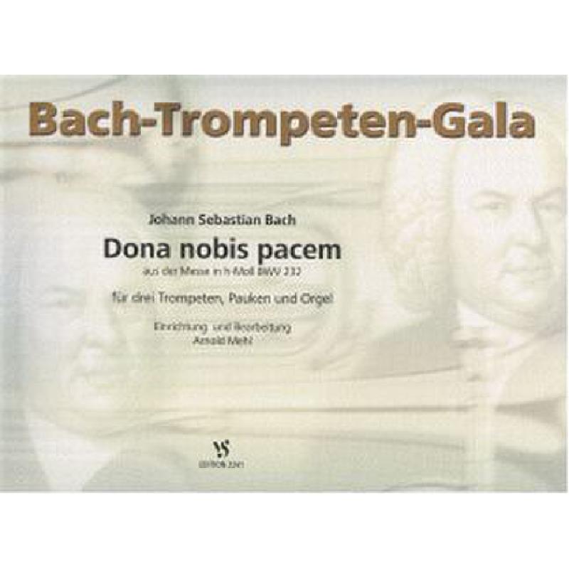 Titelbild für VS 2241 - DONA NOBIS PACEM (MESSE H-MOLL BWV 232)
