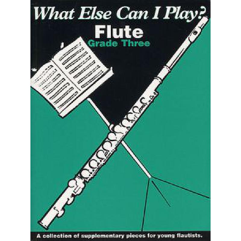 Titelbild für ISBN 0-571-53052-4 - WHAT ELSE CAN I PLAY 3