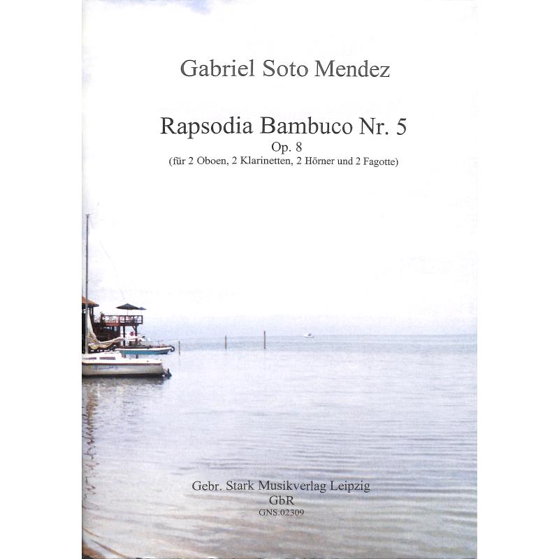 Titelbild für GNS 02309 - RAPSODIA BAMBUCO 5 OP 8