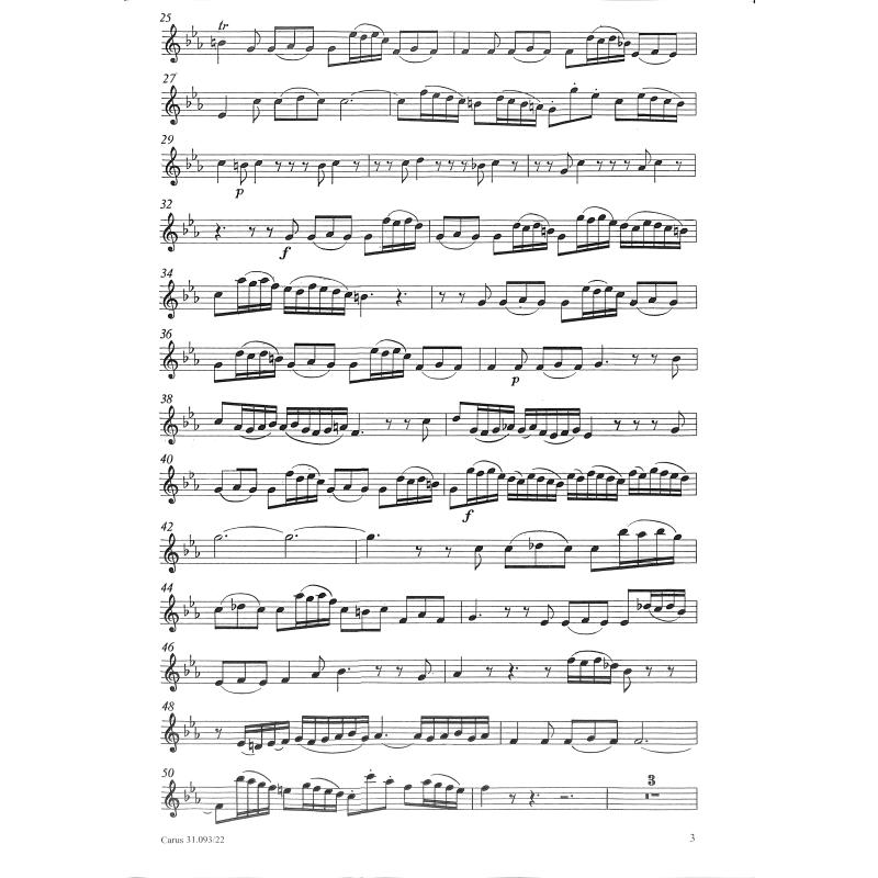 Titelbild für CARUS 31093-22 - KANTATE 93 WER NUR DEN LIEBEN GOTT LAESST WALTEN BWV 93