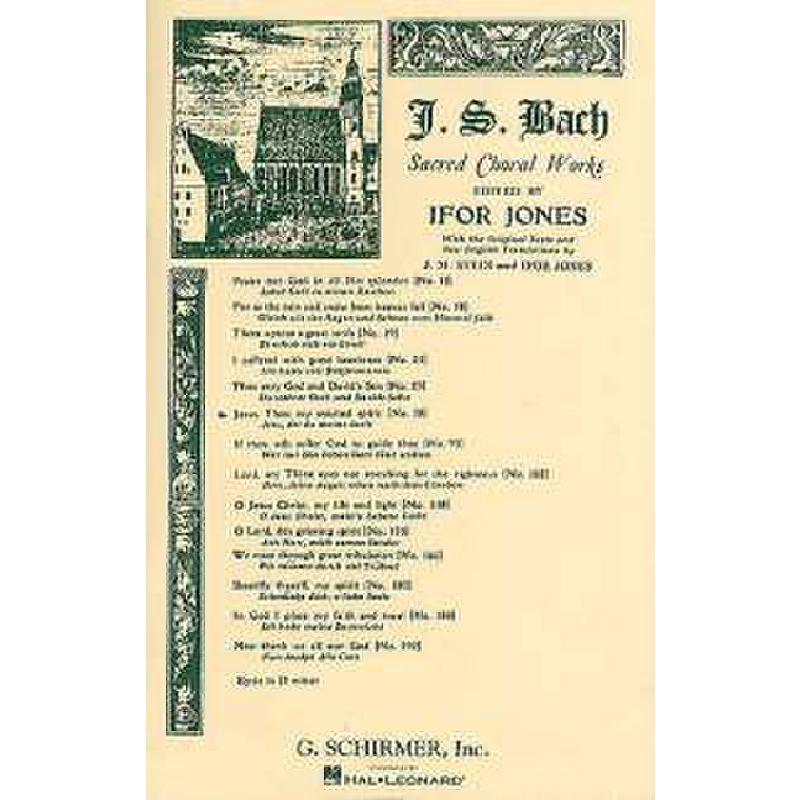 Titelbild für GS 32436 - KANTATE 78 JESU DER DU MEINE SEELE BWV 78
