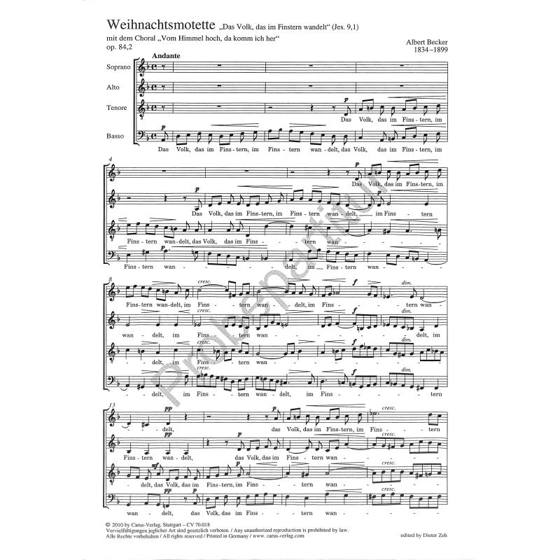 Titelbild für CARUS 70018-00 - Weihnachtsmotette op 84/2