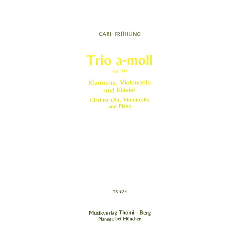 Titelbild für TB 973 - TRIO A-MOLL OP 40