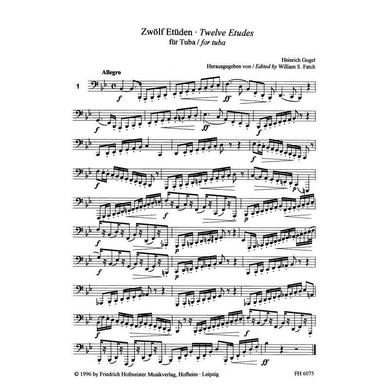 Notenbild für FH 6075 - 12 ETUEDEN